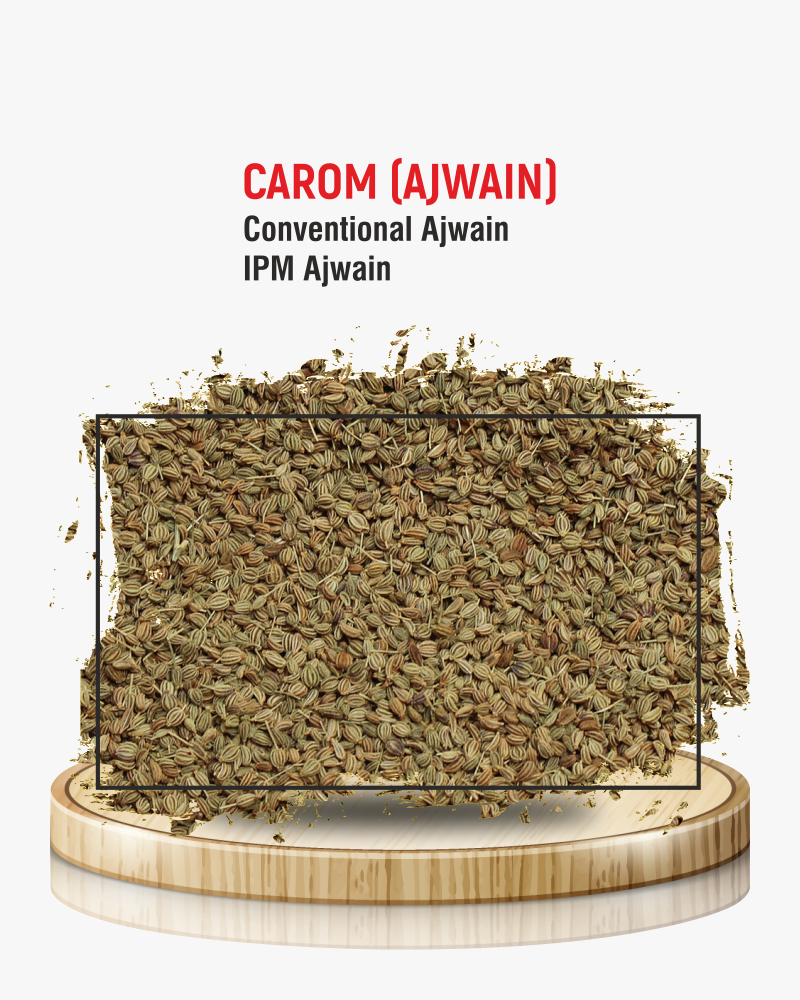 Carom (Ajwain)