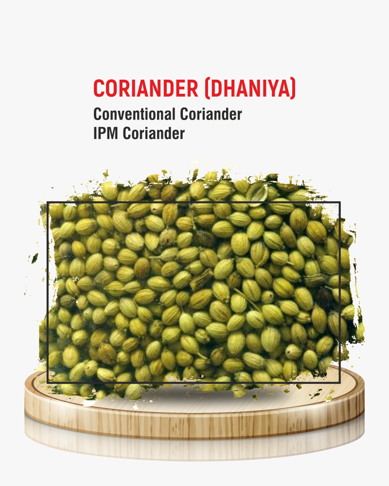 Coriander Seeds (Dhaniya)
