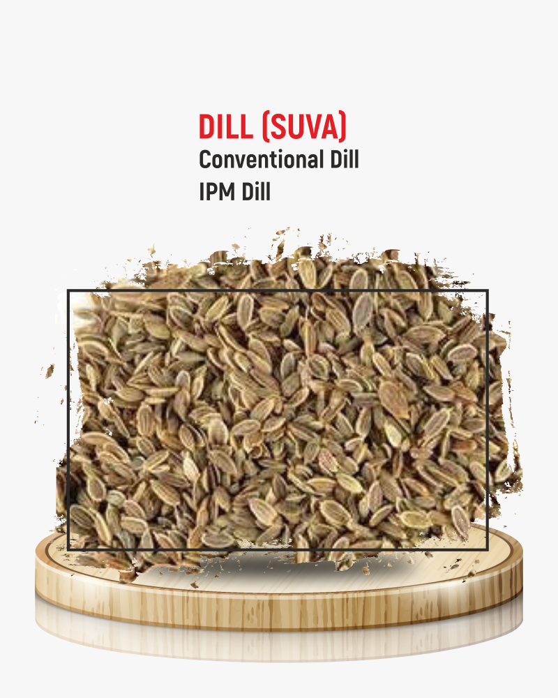 Dill (Suva)