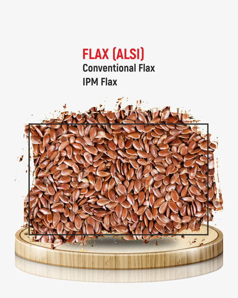 Flax Seeds Roasted (Alsi)
