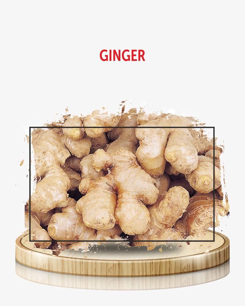 Ginger