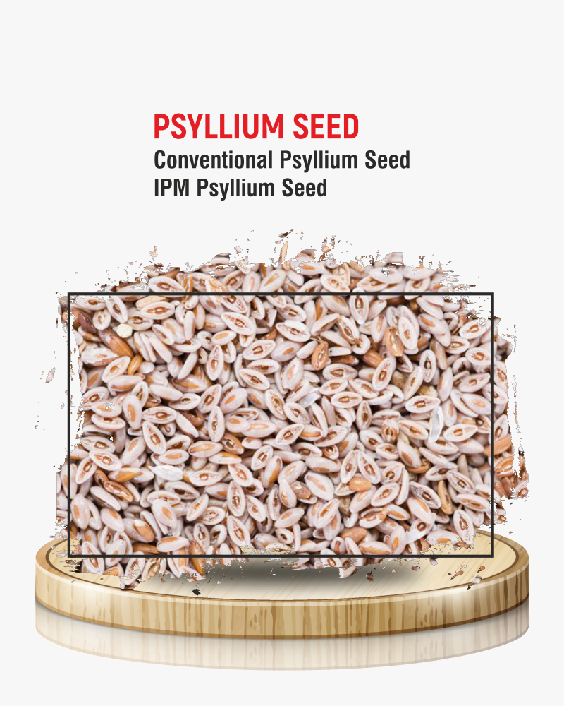 Psyllium Seeds